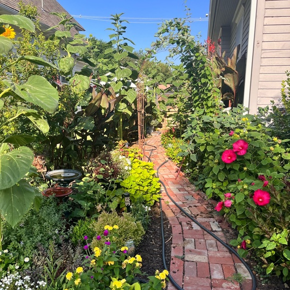 🌻🌻🌻HURRY.!! Get in HERE! Boujee is LIVE!🌻🌻🌻 - Picture 6 of 17